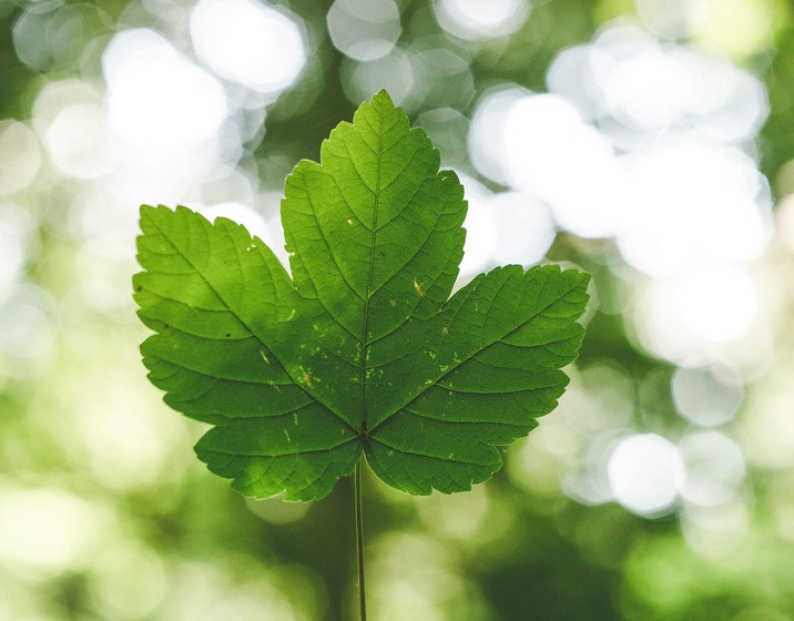 Environmental Laws and Regulations