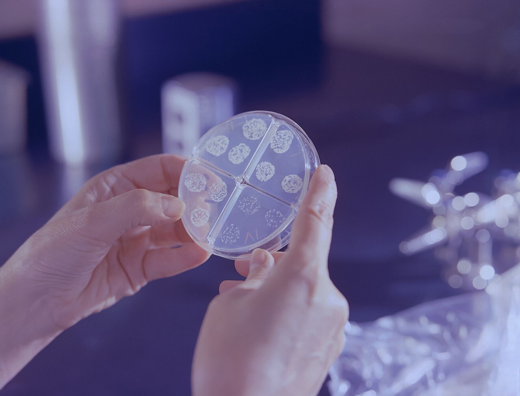 Microbiology and It's Importance