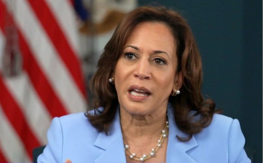 Kamala Harris Disliked