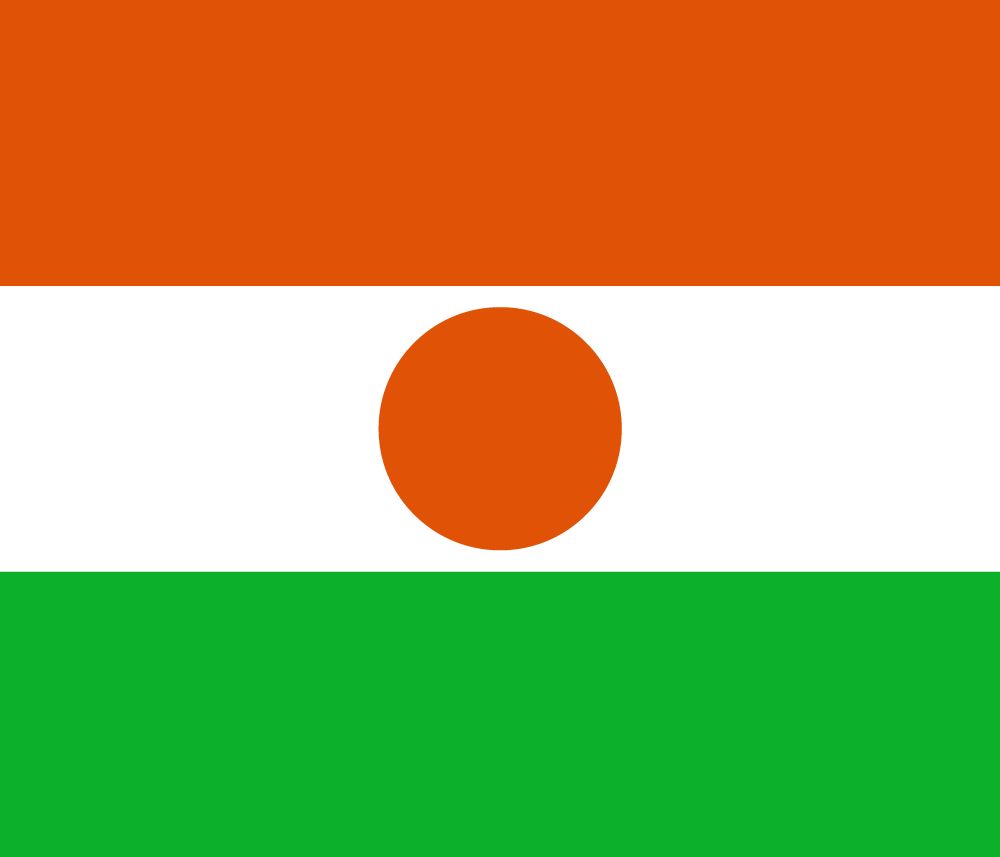 Niger Flag and Coup